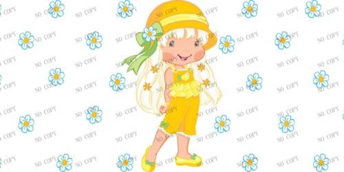 Y34380-Strawberry Shortcake