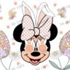 Y5266-Disney