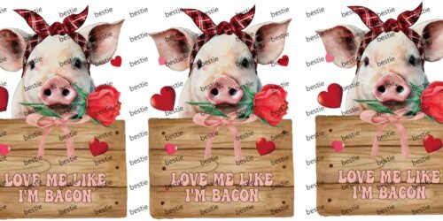Y0641-Valentine's Day