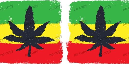 Y42993-cannabis leaf