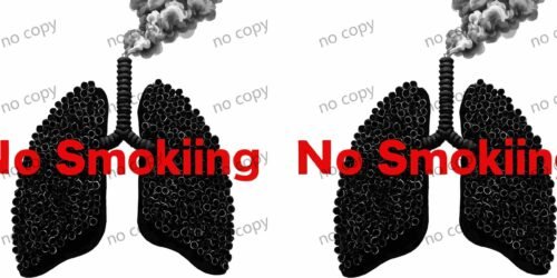 Y42994-cannabis leaf