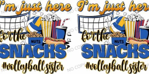 Y36025-Sports Team & others