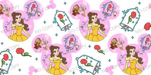 Y49800-Disney Pricess