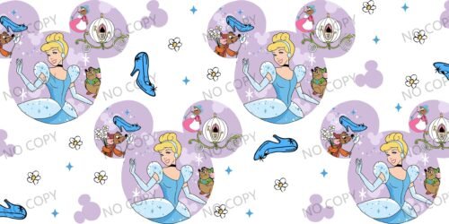 Y49801-Disney Pricess