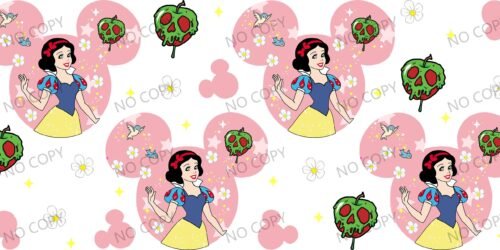 Y49807-Disney Pricess